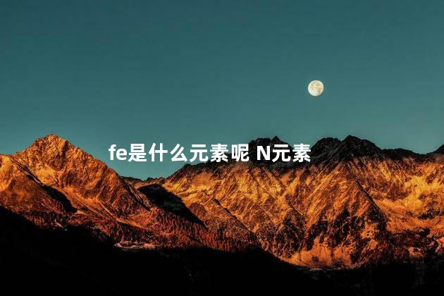 fe是什么元素呢 N元素